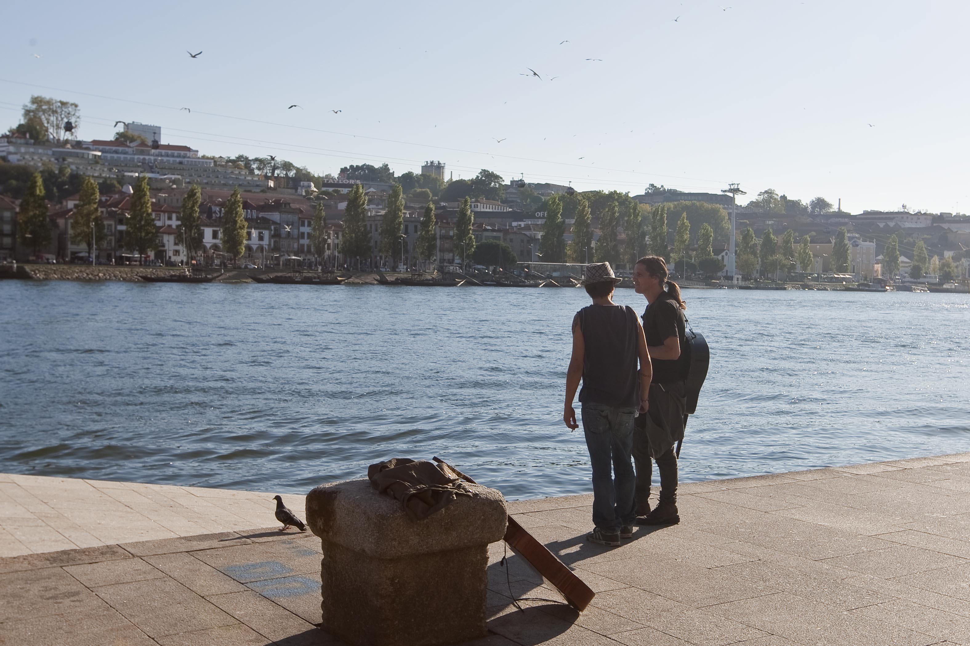 _LC_1293 as Smart Object-1