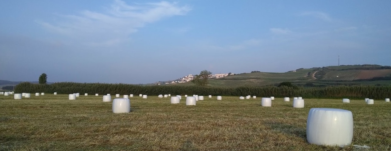varatojo